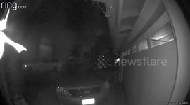 Spider Caused A Buzz At 230am On Ring Camera