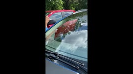 Satisfying footage shows calligraphy being painted on cars being sold