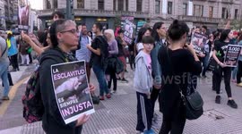 Amid protests, Argentina postpones mega trade deal with China to produce pig