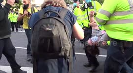 Large Extinction Rebellion protester requires 7 police officers to drag him away from London demonstration