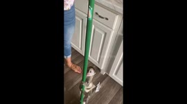Monkey pole play