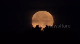 Watch the 'Corn Moon' descend and set over London