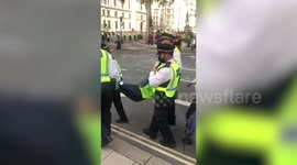 Extinction Rebellion Protesters Carried By Police In London