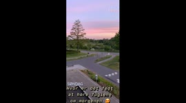 Birds singing at the morning