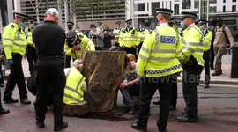 Extinction Rebellion activists lock arms in tree trunk outside Home Office