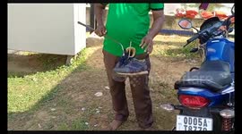 Rescuers wade in knee-deep water to catch cobra in flooded house in eastern India