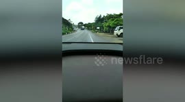 Out-of-control truck topples over destroying row of street stalls in Vietnam