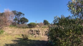 Bmx Bicycle Stunt Gone Wrong