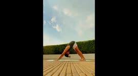 Dog interrupting the exercise routine