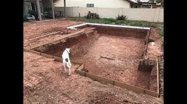 Timelapse shows how US family installed a pool into their garden