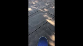 Skateboarder Falls Down on Concrete Floor and Fractures