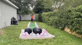 The gender has been revealed with a long jump