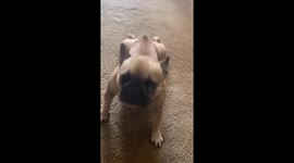 Franchise doing weird pushups
