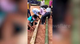 Smugglers in India arrested after hiding 49 kilograms of marijuana inside bamboo shoots