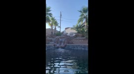 Water Slide Rider Falls and Hits Head