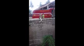 Dog that fell down 60-foot-deep well rescued after three-hour operation in India