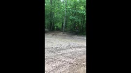 Adventure in the woods gone wrong