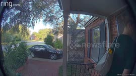 Wasp Attack Caught On Door Camera