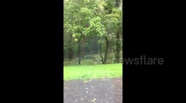 US: Severe Thunderstorm Moving Across D.C. And Maryland With Strong Rain 4