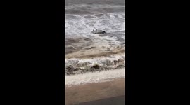 Tractor now under water at high tide