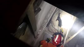 Chinese firemen rescue stray kitten trapped under flat floor for two days