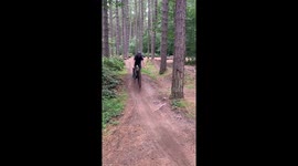 How to jump into a tree