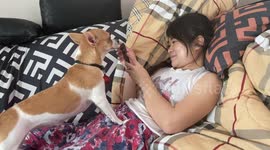 Jealous dog hates it when