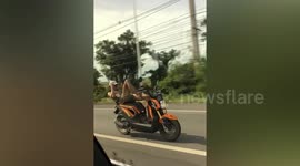 Daredevil motorcyclist lays down to steer with his foot while driving along Thai road