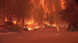 Fire next to roadside at shaver lake CA due to CreekFire #creekfire
