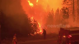 Fire fighters in California on CreekFire prepare to battle roadside blaze