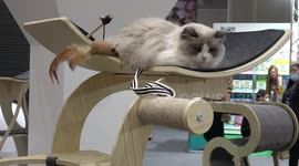Animal lovers attend pet show in Bangkok, Thailand