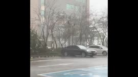 Typhoon Haishen brings strong winds and heavy rain to Busan, South Korea
