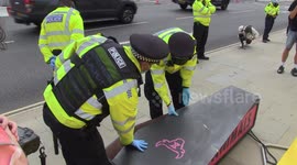 Animal Rebellion carry a COFFIN around Westminster and claim the government has