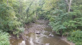 Biking in the woods on Labor Day 1