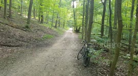 Biking in the woods on Labor Day 3