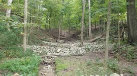 Biking in the woods on Labor Day 4