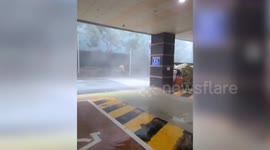 Pedestrian struggles to walk as Typhoon Haishen batters South Korea