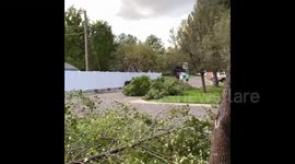 US: Hurricane-Level Winds Uproot Numerous Trees In Northern Utah 2