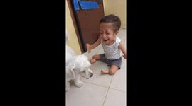 Medically challenged boy plays with his dog in Ecuador in heartwarming video