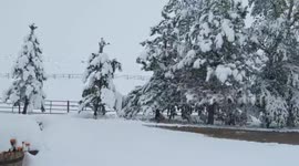 Watch as early September snowstorm hits Wyoming with a foot of snow