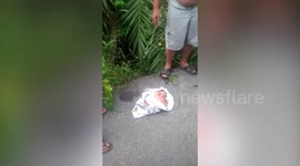 Newborn baby girl rescued after left abandoned next to drain in Malaysia