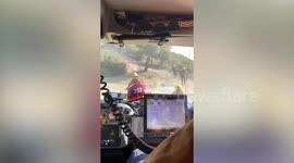 Watch as firefighters battling wildfire flames ran for their lives when a BULL chased them back to their fire engines