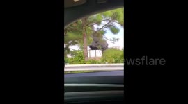 US: Explosion Rocks Chemical Plant In Palm Bay, Florida