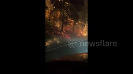Motorist drives through raging flames of Echo Mountain Fire Complex in Oregon
