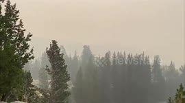 Yosemite National Park covered with creek fire smoke