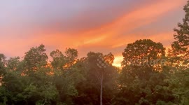 Stunning Late Summer Sunset W/ Black Labrador