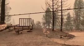 US: Aftermath Of Violent Creek Fire In Fresno, California