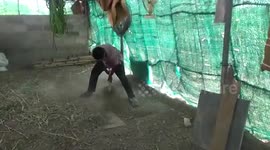 Police seize over 1000 kg of marijuana from warehouse in southern India