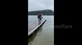 Hilarious moment Newfoundland dog is too excited and falls in water