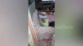 Grandmother rocks newborn puppy to sleep